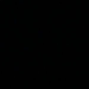 Meet your Posher, Jamarion